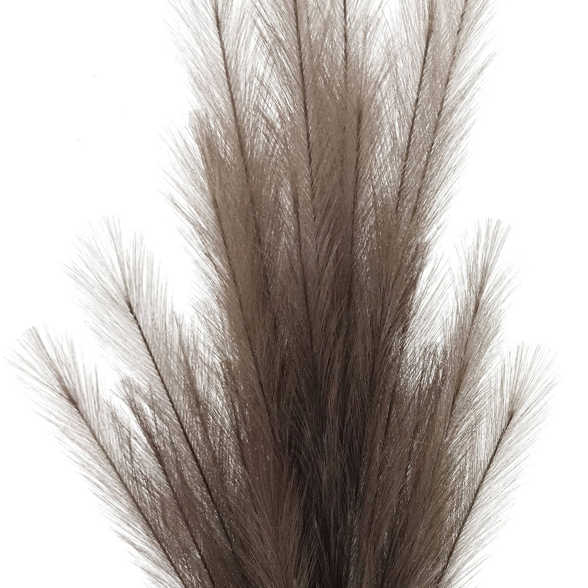 42" Light Brown Pampas Grass Stem by Ashland®